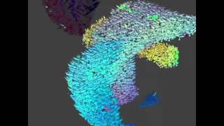 OpenCL boid Simulation