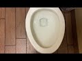 Bathroom Tour: Kohler Toilet at The Fresh Market