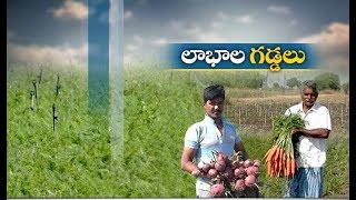 Jaikisan TS | 2nd Feb 19 | క్యారెట్‌,బీట్‌ రూట్‌ సాగుతో ఆదర్శంగా నిలుస్తున్న చేవెళ్ల రైతులు