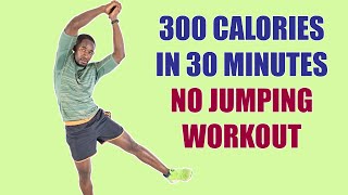 NO JUMPING WORKOUT: Beginner Weight Loss Workout No Equipment🔥300 Calories in 30 Minutes🔥