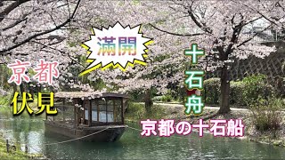 十石舟賞櫻🌸🌸 kyoto fushimi《京都市伏見區 》27/03/2023