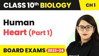 Human Heart (Part -1) - Life Process | Class 10 Biology