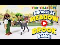 Playmobil Miracle at Meadowbrook Ranch | Spark's Heartwarming Recovery Journey | Tiny Tales Toys 🐴