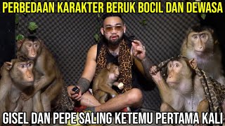 PERBEDAAN KARAKTER BERUK BOCIL DAN DEWASA, GISEL DAN PEPE SALING KETEMU PERTAMA KALI #AudreyA