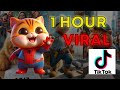 Meow Meow Miaw Miaw Sad 😿 TikTok VIRAL Song 1 HOUR