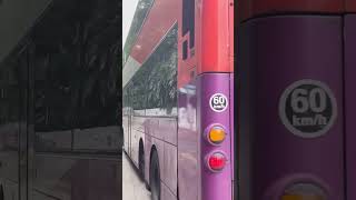 Volvo B9TL Wright SBS3038Z SBS Transit Bus service 196 to Clementi Interchange