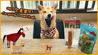 Premium Dog Bone Snack-Horse ribs, horse's Adam's apple!ㅣpet supplies reviewㅣ#dogsnack #puppysnack 