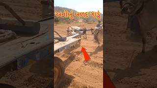 અનોખું બળદ ગાડું 😱|| વાહ ખેડૂત વાહ #shorts #viral #gujarati #bull #ox