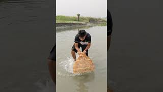 Very Smart Boys Hunting Tela Piya Fish By The River Water #shorts