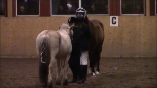 Julshow Christinehamns ridklubb 20/12-2015