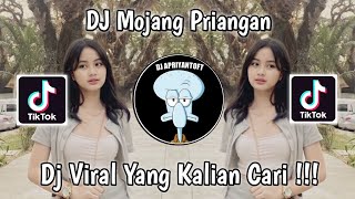 Download Mp3 DJ MOJANG PRIANGAN VIRAL TIK TOK TERBARU 2023 YANG KALIAN CARI !