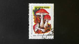 4 Postage Stamps from the Soviet Union: Poisonous Mushrooms