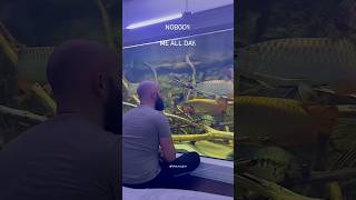 All day of fish keepers #shorts #viralvideo #trending #explore #arowana #guppy #mollyfish #pets