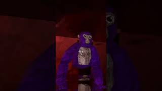 No ID? No Problem | Gorilla Tag