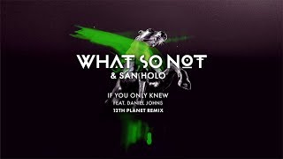 What So Not San Holo If You Only Knew...