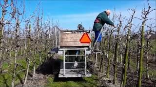 Wat doet een fruitteler eigenlijk in maart?