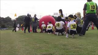 大玉転がし　伊集院地域運動会　2019 10 13