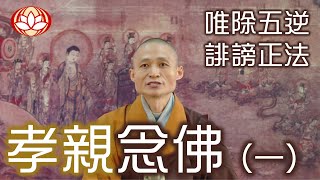 🙏🏻📿孝親念佛 (一) 唯除五逆 誹謗正法 #淨宗法師