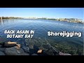 Light Shorejigging Botany Bay with Zenaq