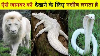 दुनिया के 3 सबसे दुर्लभ सफेद जानवर | Most Rare White Animal's #shorts