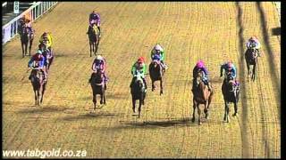 20160422 Greyville Race 2 won by LA CARMELITA