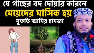 মেয়েদের মাসিক হওয়ার আসল রহস্য যা অনেকেই জানে না । মুফতি আমির হামজা । Mufti Amir Hamja