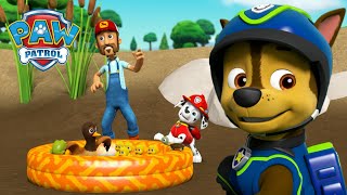 Marcus sauve la mare aux canards et effectue d'autres sauvetages d'animaux PAW Patrol dessins animés