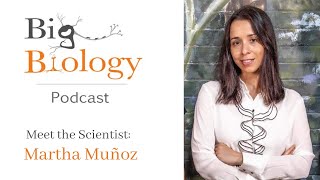 Meet the Scientist: Martha Muñoz