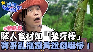 部落傳統駭人食材如狼牙棒！竇哥亂揮讓黃鐙輝落荒而逃？！【請問 今晚住誰家】體驗篇 20220418 EP527 Part1 竇智孔 黃鐙輝