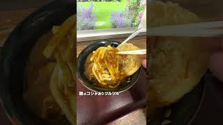 【君津】元TOKIOの長瀬が通ったカレーうどん！