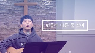 빈 들에 마른 풀 같이 | 토론토 영락교회 청년부