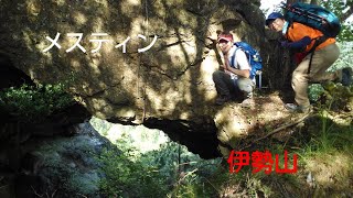 【山登り】ハスラーで行く伊勢山！メスティンで山飯練習