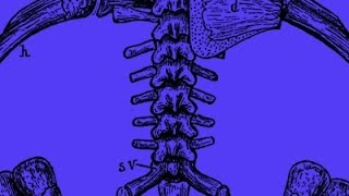 Getting Started with Backbone: Introduction