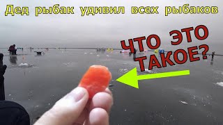 Безумная Деда насадка для рыбалки. Тесто для рыбалки 2022.