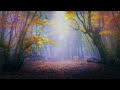 Music for relax, meditative waterfalls. Relaxing music.