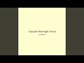 Cascade Moonlight Velvet