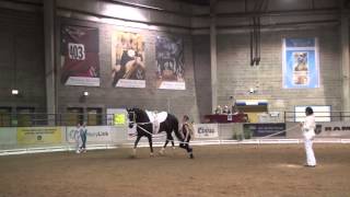 AVA/USEF 2013 National Vaulting Championships Bella's Freestyle