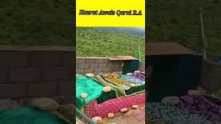 Grave of Hazrat Awais Qarni R.A #shorts #ytshorts #youtubeshort