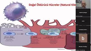 HASTALIKLARA KALKAN: DOĞAL BAĞIŞIKLIĞIMIZI NASIL GÜÇLENDİRELİM Prof. Dr. Abdurrahim KOÇYİĞİT