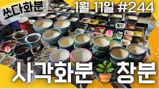 244차 화분판매   #쏘다화분🪴 1월 11일 |  예쁜 다육이 화분 | #다육이화분 수제 국산 #화분  #다육화분 분갈이 할인 세일 선물 창분