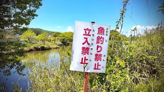 岡山県の焼肉店廃墟の横道を歩くとわかった事...