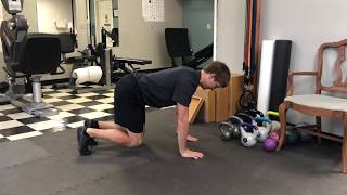 Quadruped Knee Lift Progression- Week 1