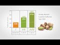 improve your pistachio yield