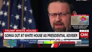 Sebastian Gorka says he resigned but White House sources claim he was fired   Either way he's out