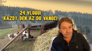 🎄 Adventní výzva: 24 dní videí! 🎁 Sledujte každý den! 🎥 Adventní Žílog_186 #robinvales