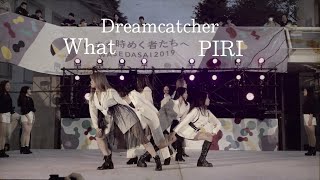 Dreamcatcher (드림캐쳐) What \u0026 PIRI / covered by Twinkle @早稲田祭2019