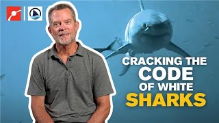 White Sharks - Cracking the Code with Science