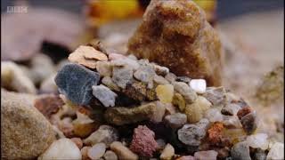 Winterwatch 2022 - Caddisfly larvae