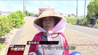 氣候影響收成 雲林農民急需曝曬花生場地 20200605 公視中晝新聞