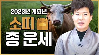 2023년 새해 계묘년 신년운세 소띠 총운세(강남점집 청담동점집 천지일월현암)